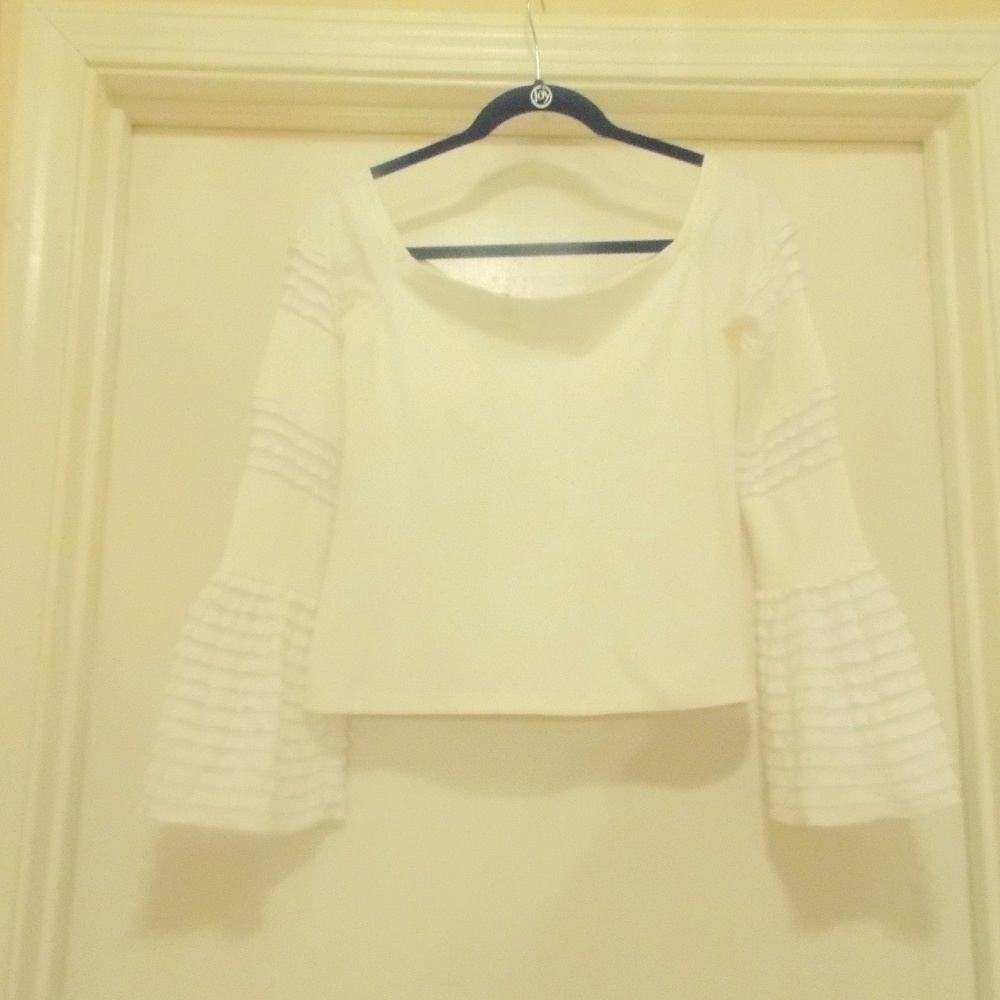 $286 NWT Alexis Griffin Ruffle long sleeve top L